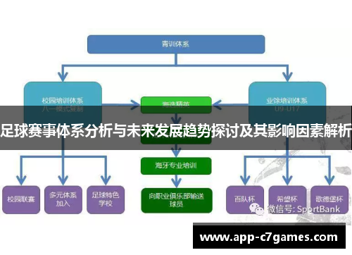 足球赛事体系分析与未来发展趋势探讨及其影响因素解析