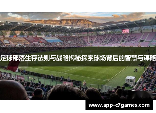 足球部落生存法则与战略揭秘探索球场背后的智慧与谋略