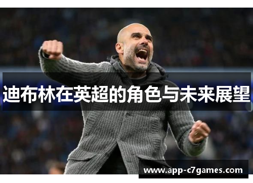 迪布林在英超的角色与未来展望