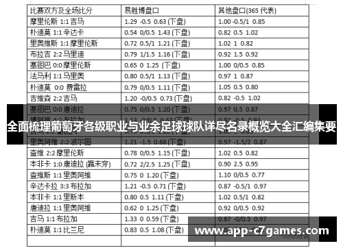 全面梳理葡萄牙各级职业与业余足球球队详尽名录概览大全汇编集要